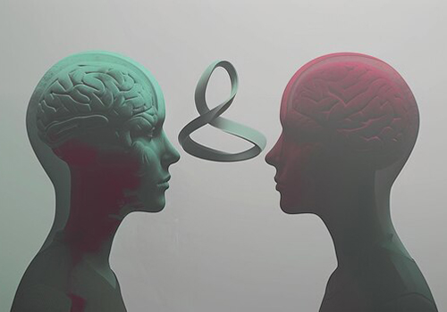 Cognitive Biases for Understanding Perception FAQs