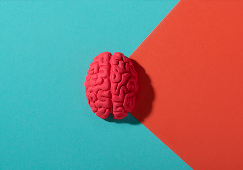 Exploring the Gut-Brain Axis