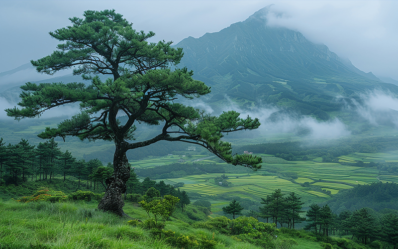 Nature's Recharge Station: How Stepping Outside Can Boost Your Mood and Focus