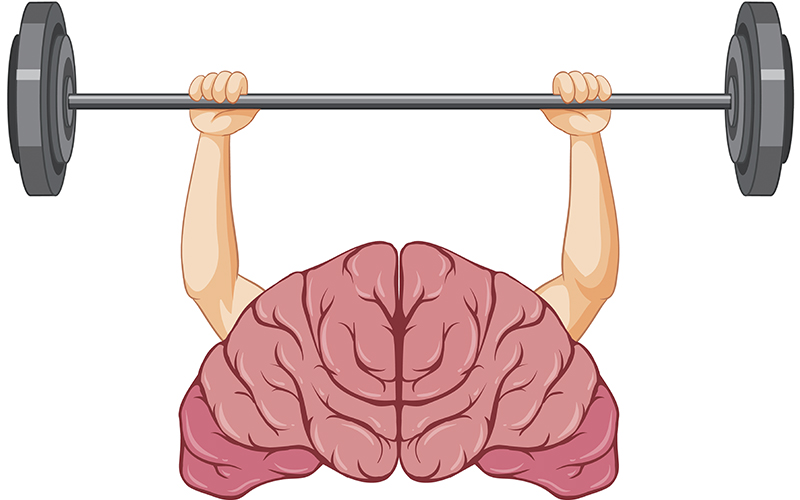 The Brain on Exercise: How Physical Activity Boosts Cognitive Function